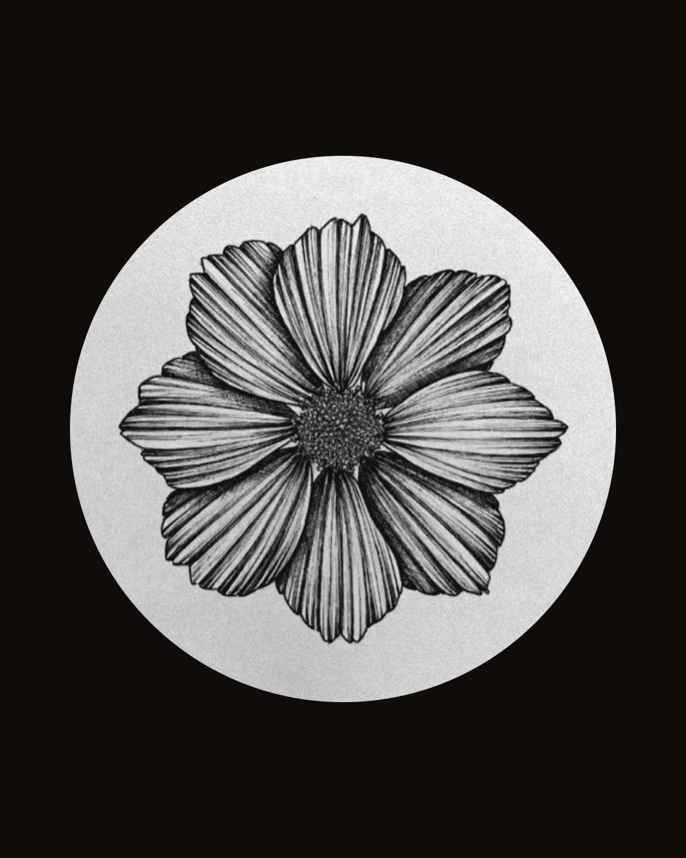 Sarah Maqsood, Ink Illustrator at Painted Juttay